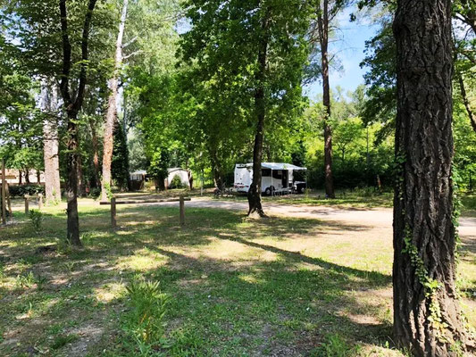 Emplacement du camping L'Art de Vivre