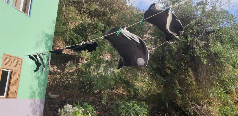Notre linge qui sèche au vent