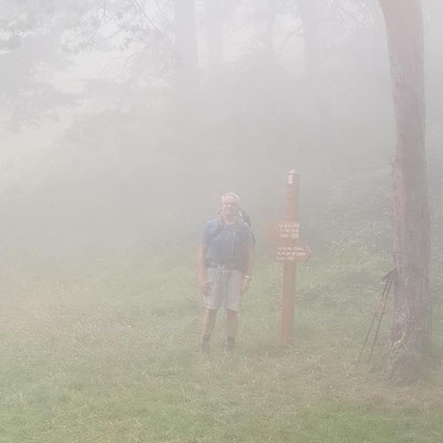 Au dessus de Menton, au Plan du Lion, on est en plein dans les nuages