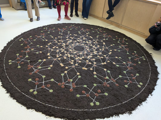 DNA diagram seen from above. Peas, lentils, barley, broad beans and earth. 3m diameter