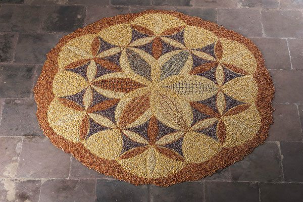 32.000 genes, 2014. Different kinds of corn. 3m diameter