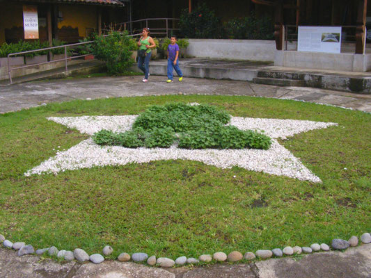 All under Control, 2011 (after a month). Bean plants and stones outdoor. 3m diameter