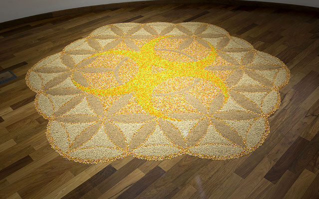 Untitled, 2017. Rice, soya beans and corn. 4m diameter
