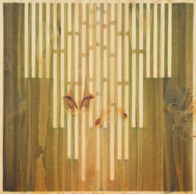 Serie Woods-Growth, 2009. Acrylic on wood. 55x 55cm