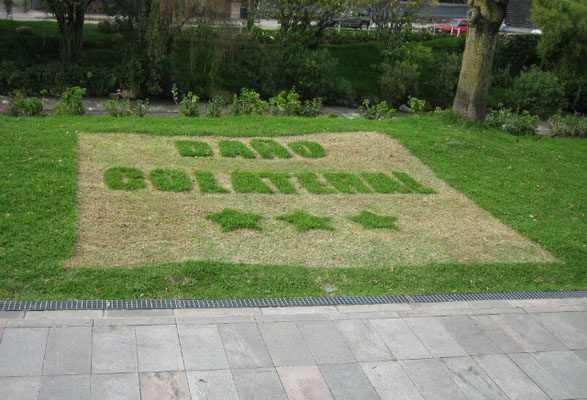 Collateral Damage, 2005. Intervention in the grass. 5 x 5m
