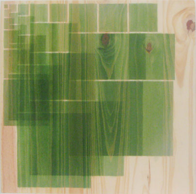 Serie Woods- Wood 2, 2009. Acrylic on wood. 55x 55cm