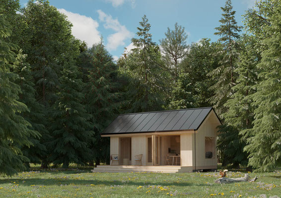 maison petit prix,maison bois pas cher,maison bois en kit,maison auto construction,plan maison bois,maison en kit,construction maison,fabricant maison bois,chalet bois petit prix,plan maison bois,maison à petit prix,acheter maison bois,chalet en kit,