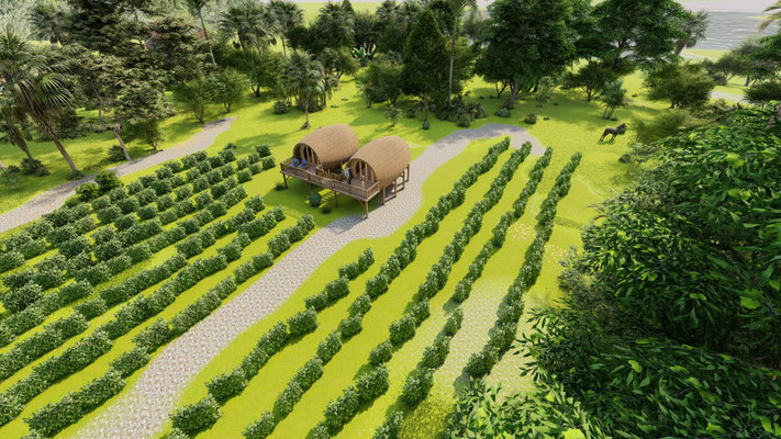 Concept hébergement viticole unique. « la vie de château dans un tonneau » L’oenotourisme : grande tendance d’un voyage touristique dans les régions viticoles et leur patrimoine pour découvrir la culture de la vigne, la vinification, l’art de la dégustati