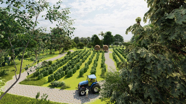 Concept hébergement viticole unique. « la vie de château dans un tonneau » L’oenotourisme : grande tendance d’un voyage touristique dans les régions viticoles et leur patrimoine pour découvrir la culture de la vigne, la vinification, l’art de la dégustati