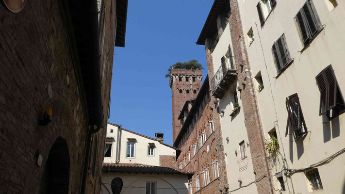 Guinigi Tower