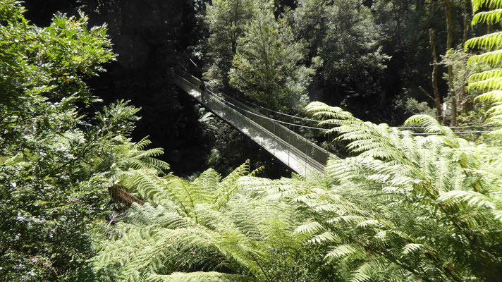 Suspension Bridge