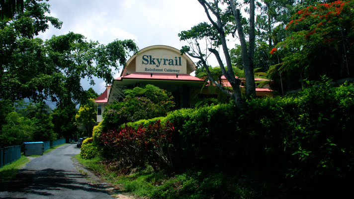 Mit der Skyrail über den Regenwald