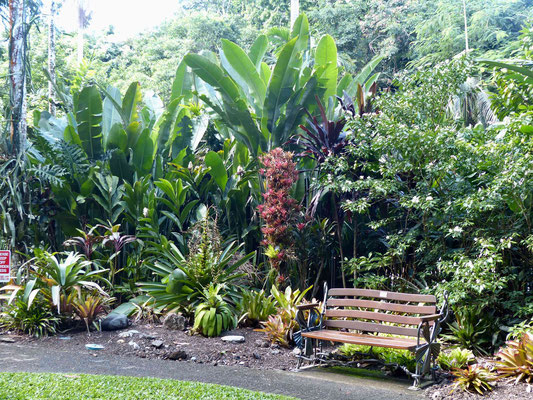 Botanischer Garten in Cairns