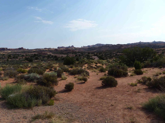 Petrified Dunes Viewpoint