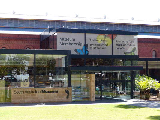 South Australian Museum