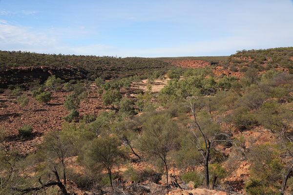 Ross Graham Lookout