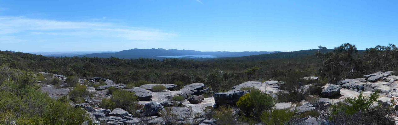 Reed Lookout