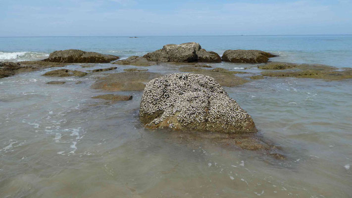 Strandspaziergang