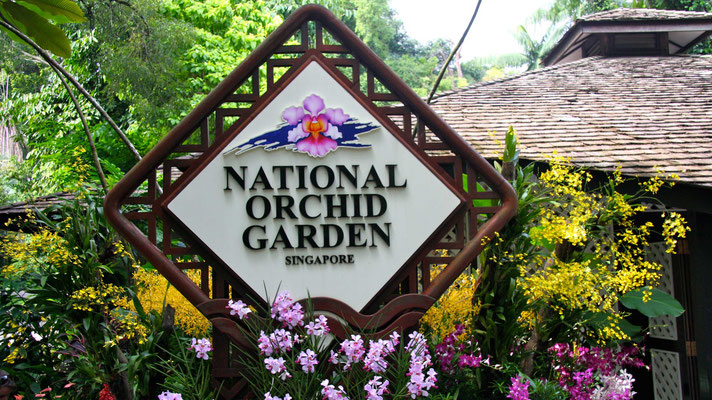 Orchideen Garten