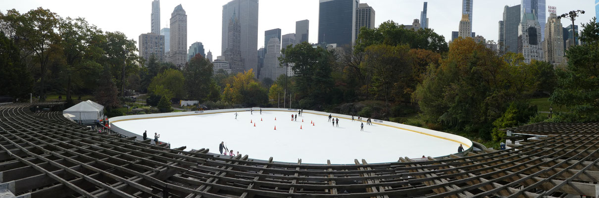 Central Park Ice Skating