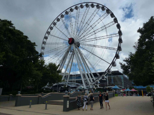 Wheel of Brisbane 