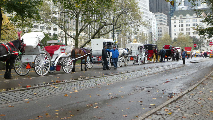 Kutscher warten vor dem Central Park