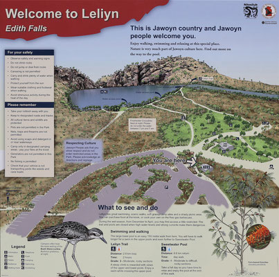 Leliyn "Edith Falls