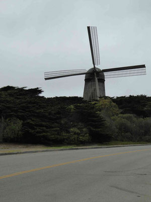 Dutch Windmill