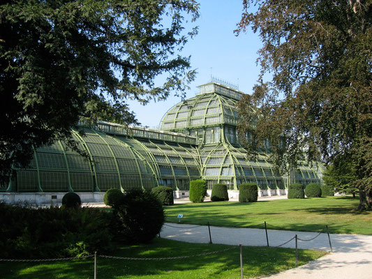 Palmenhaus