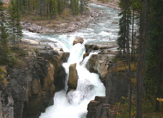 Sunwapta Falls