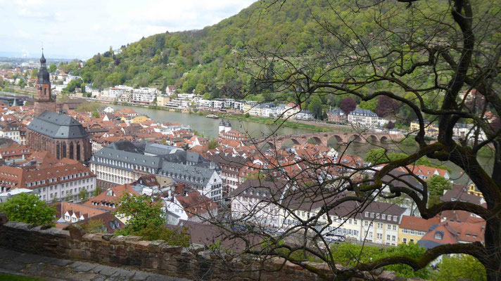 Blick von der Terrasse