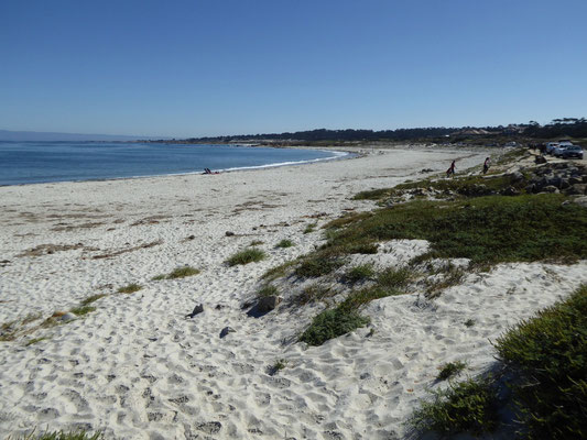 Asilomar State Beach