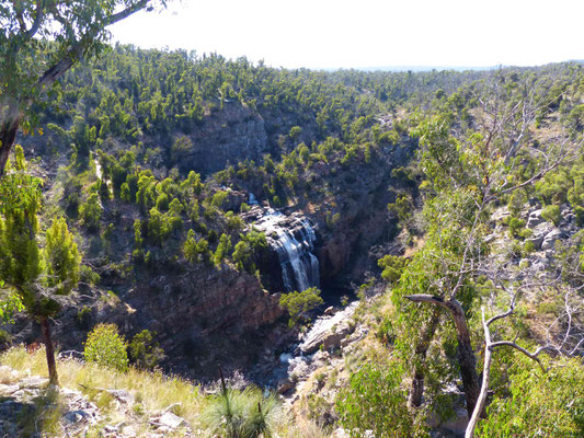 MacKenzie Falls