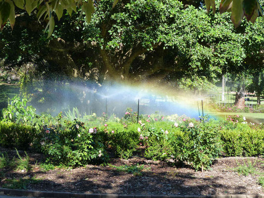 Regenbogenfarben 