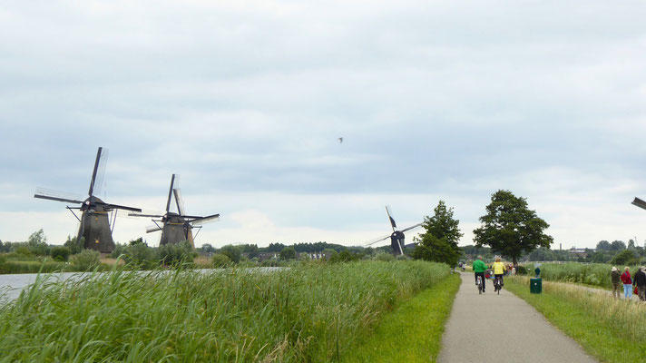 Es sind: 8 Mühlen vom "Nederwaard", 8 Mühlen vom "Overwaard", 2 Mühlen des Polders "Nieuw-Lekkerland", 1 Mühle des Polders "Blokweer"