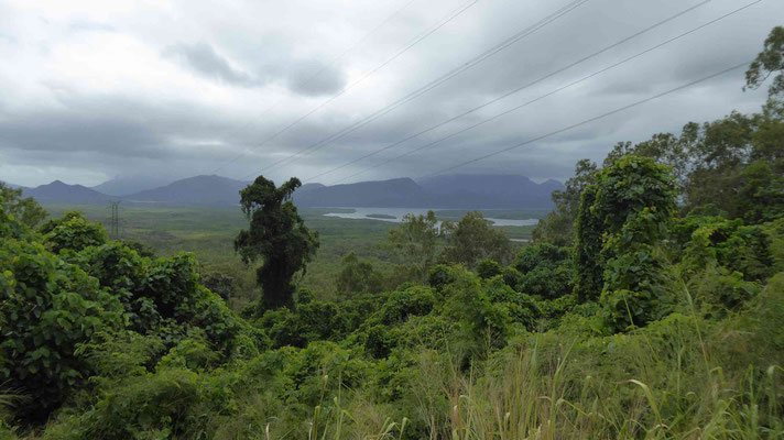 Hinchinbrook Lookout