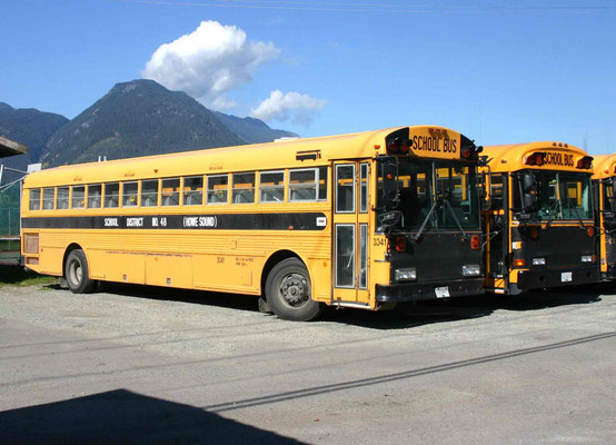 Schulbus
