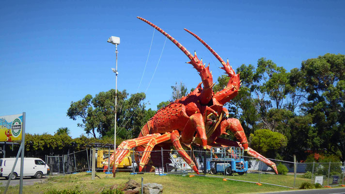 Riesen Lobster am Rande von Kingston