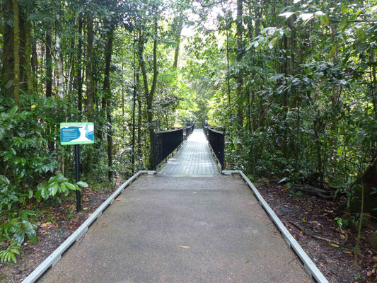 Daintree Nationalpark