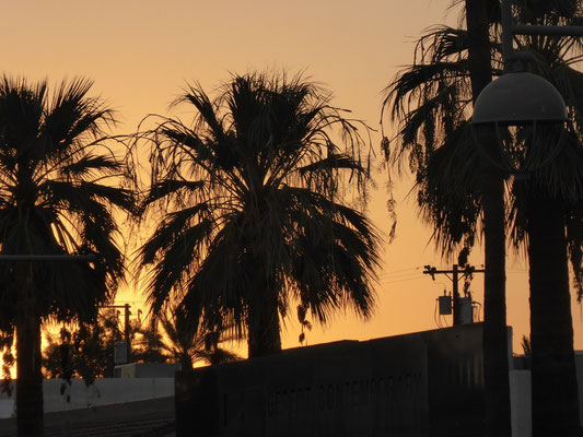 Abendstimmung (Um 19.00 Uhr noch immer 42 Grad)