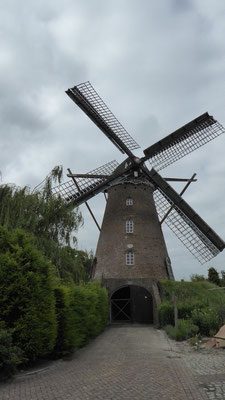 Mühle "Molen de Harmonie" in Biervliet