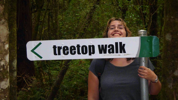 Lavers Hill Otway Fly Treetop Walk