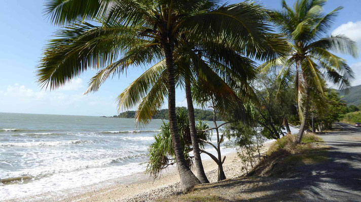 Strand auf dem Weg von Mossman nach Cairns