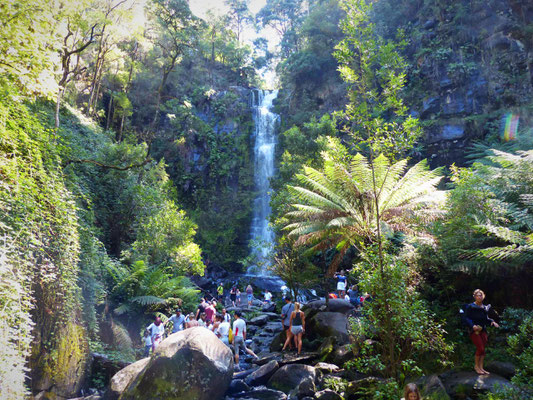 Erskine Falls (30 m) in Lorne