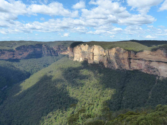 Evans Lookout