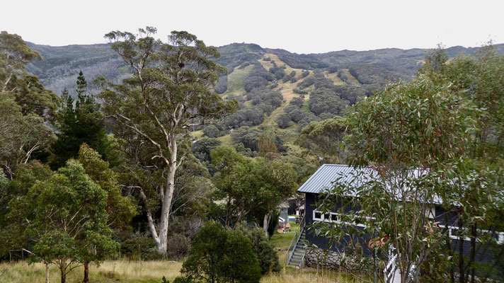 Thredbo, Skigebiet am Mountain Hut (1930m)