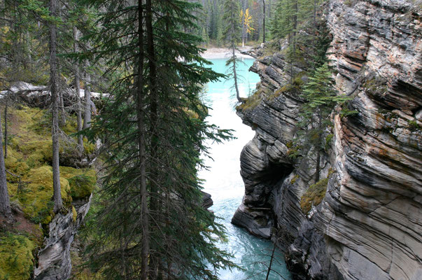 Athabasca Falls