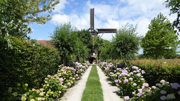 Mühle in Schoondijke "De Hulster Molen"