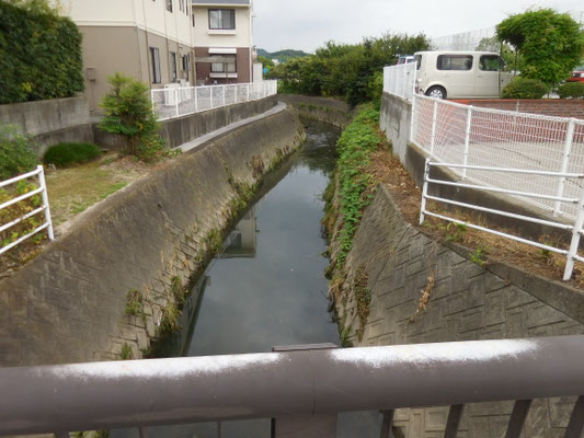 南高橋から上流。西長戸町、みどり小東側。