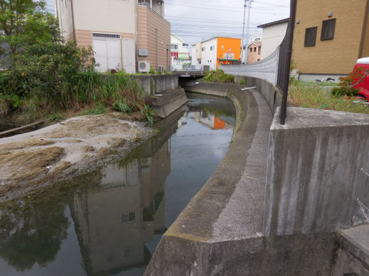 上流に県道和気衣山線の久万橋。